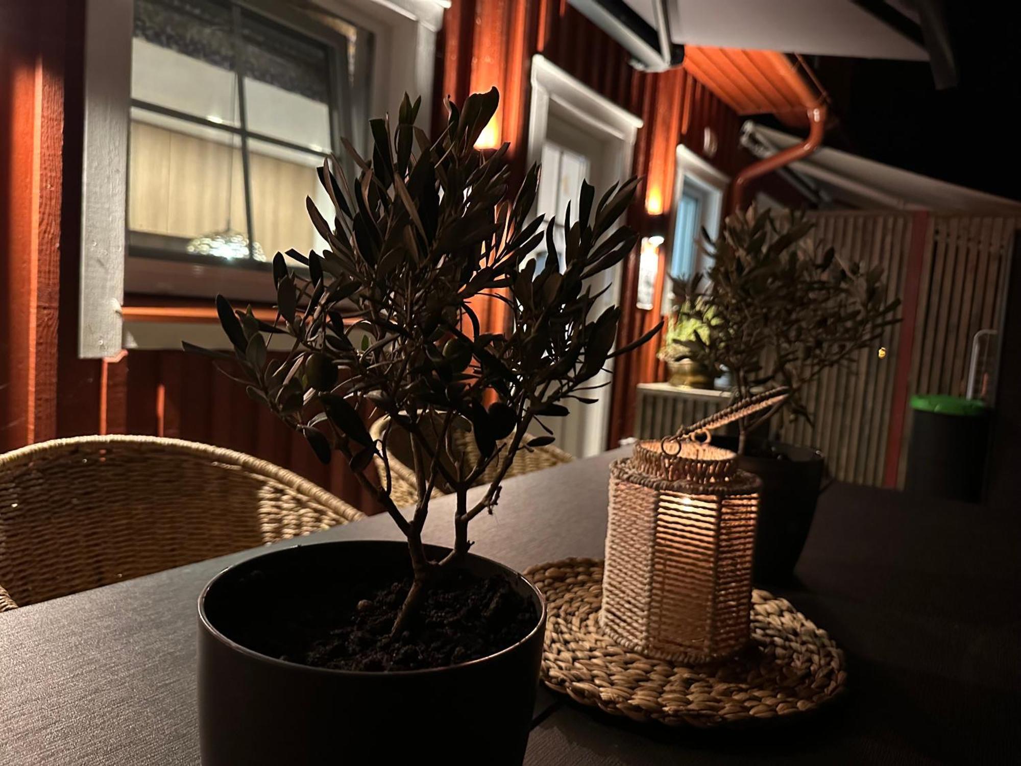 Apartment Molo Namai Nida Neringa